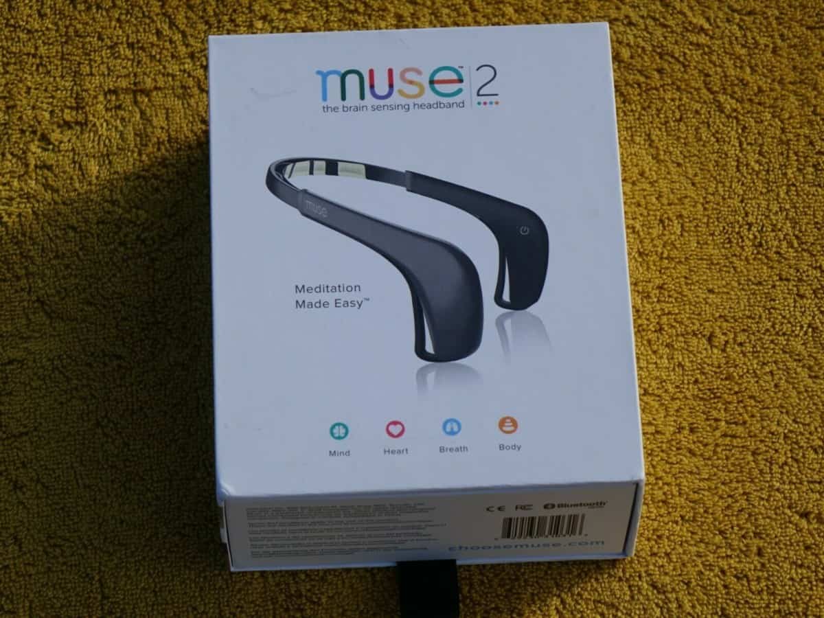 muse headband price