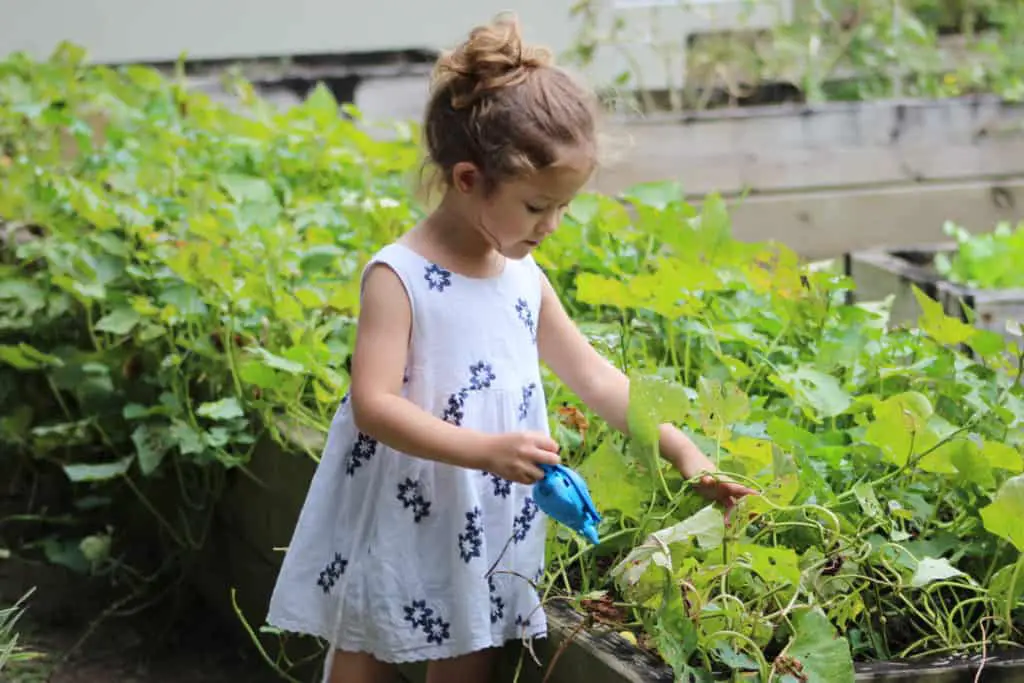 how-to-teach-an-autistic-child-to-respect-plants-safe-sleep-systems