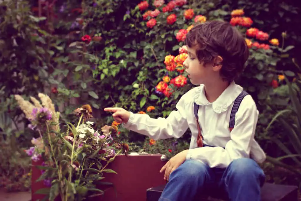 How To Teach An Autistic Child To Respect Plants 🌿 7 How To Teach An Autistic Child To Respect Plants 🌿