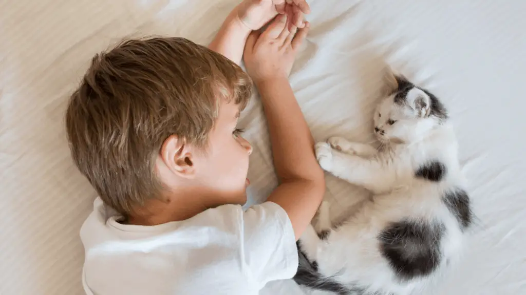 how-to-teach-an-autistic-child-to-respect-animals-safe-sleep-systems