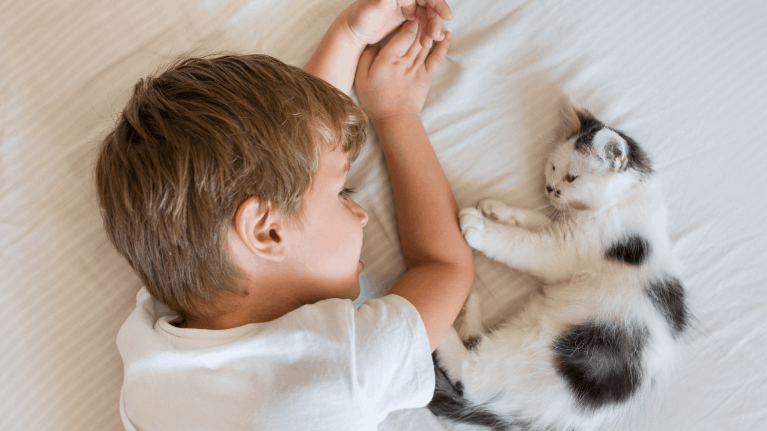 How To Teach An Autistic Child To Respect Animals 🐴 - Safe Sleep Systems