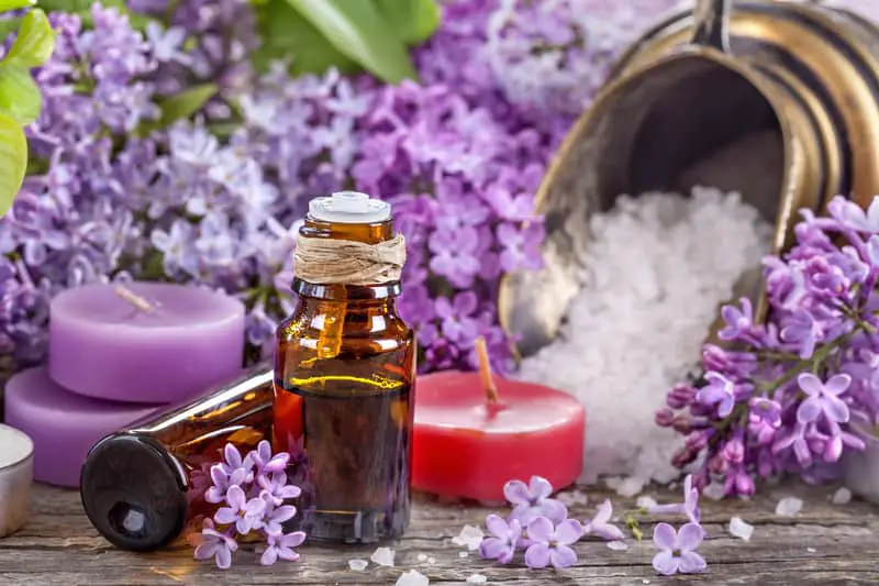 How To Use Essential Oils For Autistic Yoga Students đž 1 How To Use Essential Oils For Autistic Yoga Students đž