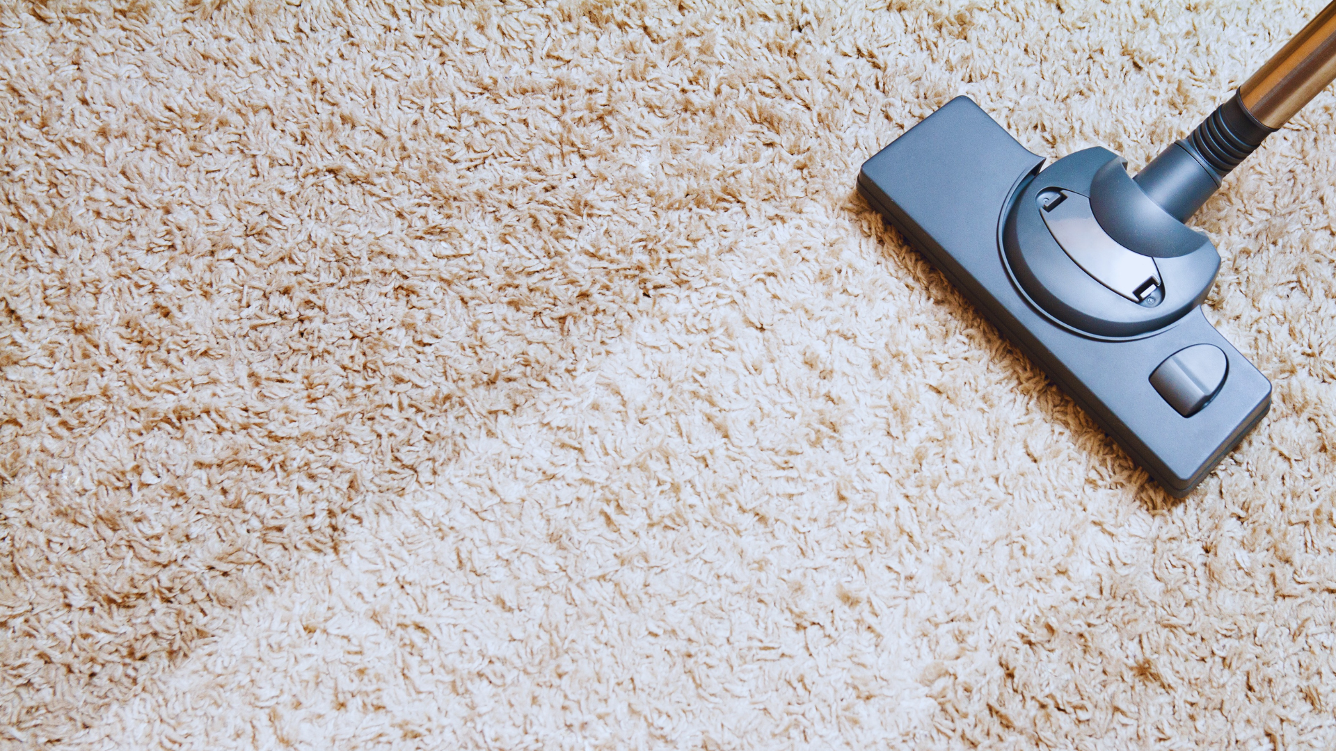 Can You Clean Pillows With Carpet Cleaner? 🦠 Safe Sleep Systems