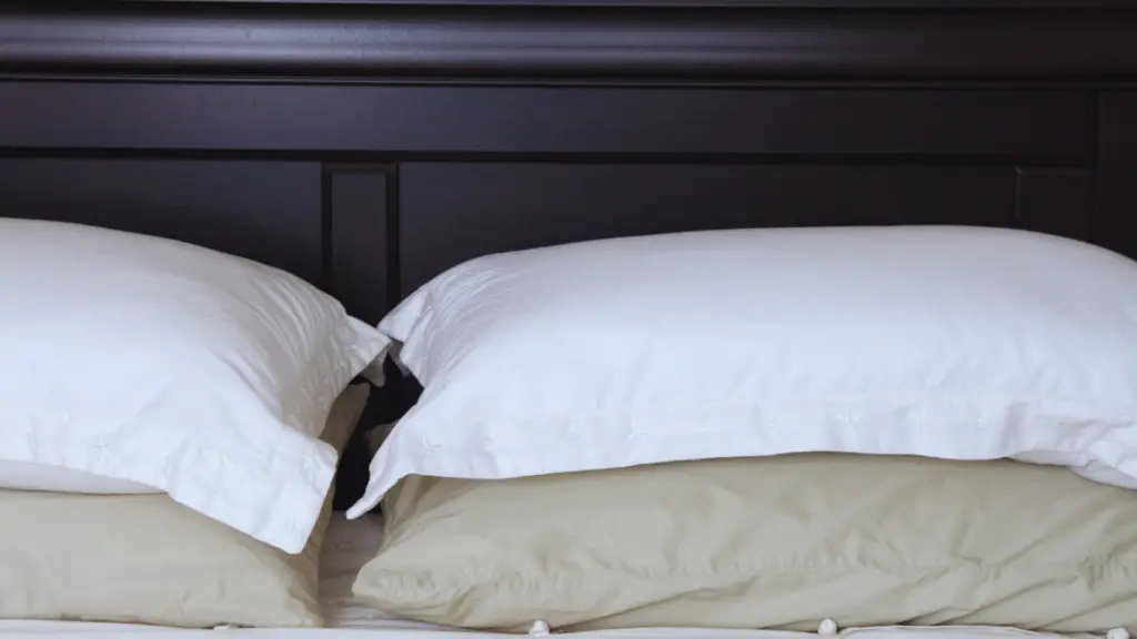 Are Polyester Pillows Recyclable? ♻️ Safe Sleep Systems
